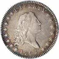 1795 Flowing Hair half dollar images