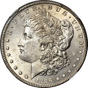 1889-CC Morgan dollar value analysis