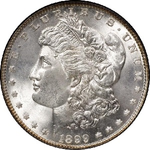 1899 Morgan dollar images