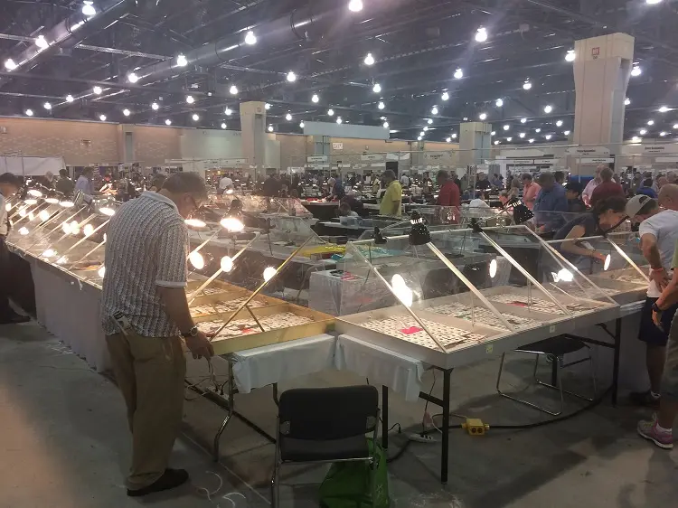 Wanna see a bunch of coins all under one roof? Then coin shows are for you.