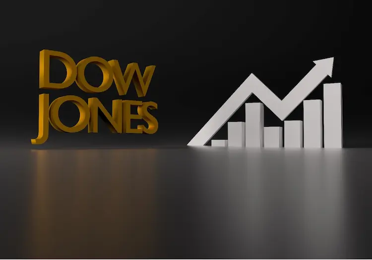 The main idea of an index is to get a feel for how well a market is performing currently and over time.  The Dow Jones is one of the best know indexes.