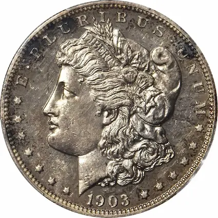 ANA grading scale PR-61 obverse photo